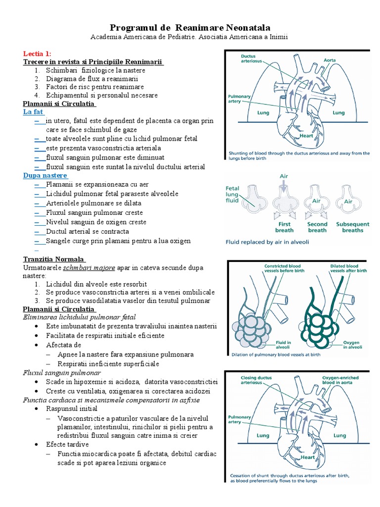 Programul de Reanimare Neonatologie | PDF