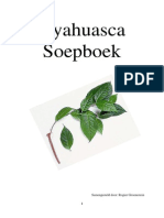 Ayahuasca Soepboek