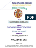 Informe de Elaboracion de Mermelada de Papaya