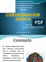 Contaminacion Sonica