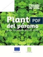 02 Plantas de Paramo