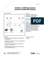 Small Molecule Inhibition of ERK Dimerization Prevents Tumorigenesis by RAS-ERK Pathway Oncogenes