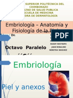 Embriologia Del Sistema Tegumentario