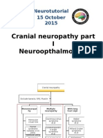 Neuro Opt HalmOlogy