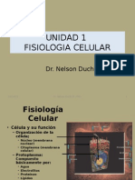 Unidad 1fisiologia Celular