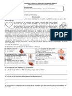 Guia de Aprendizaje  El Corazon