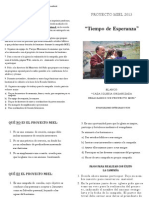 DipticoPasoAPaso-ProyectoMiel2013.pdf