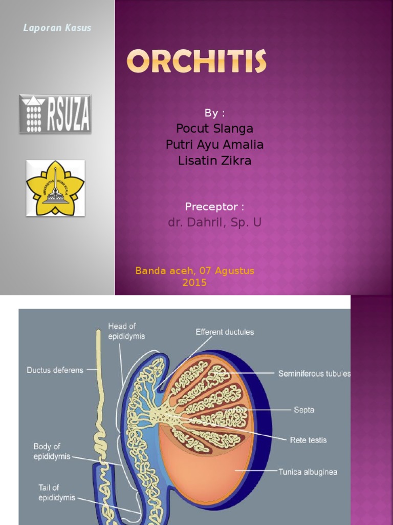 Orchitis
