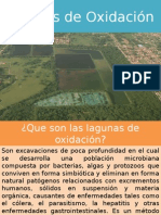 Etapas de La Laguna Oxidacion