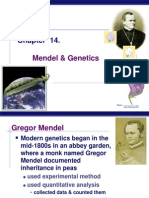 Mendel A