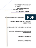 Actos Inseguros y Condicines Inseguras