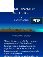 Prezentare Termodinamica biologica