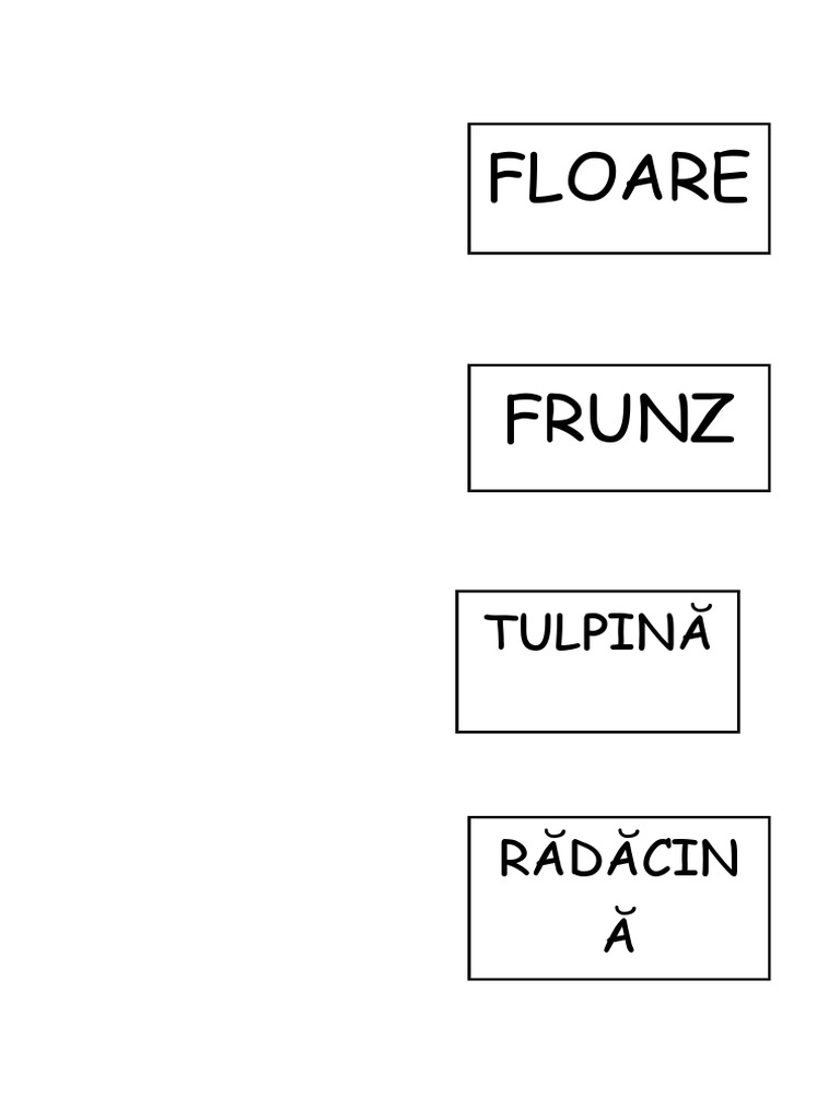 Partile Plantei Puzzle | PDF
