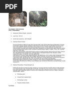 Download Gua Jeruk by Arief Hidayatullah Khamainy SN284921443 doc pdf