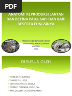 Download ANATOMI REPRODUKSI JANTAN DAN BETINA PADA SAPI DANpdf by Rony Kapida SN284943456 doc pdf