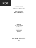 Download Laporan THT  Telur Asin Rifa 1231  by Sulthan Abdullah SN284951585 doc pdf