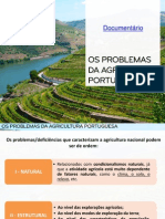 Os Problemas Da Agricultura Portuguesa