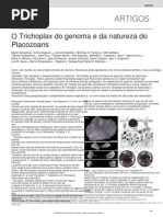 02 - Srivastava Et Al 2008 Trichoplax and the Nature of Placozoans (2)