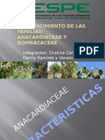 Anacrdiaceae y Bombacaceae
