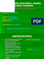 Bioquímica de Los Aminoácidos. Undac