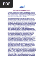 CHAKRAS ALFA E ÔMEGA