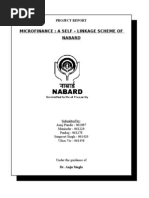 Nabard Report