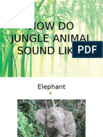 How Do Jungle Animal Sound Like