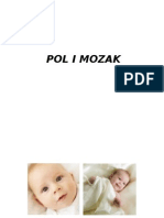 Pol I Mozak