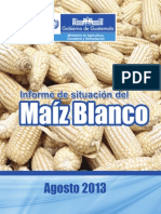 Maiz en Guatemala
