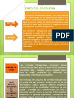 Ejemplo Plateamiento Del Tema