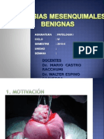 10 Lab. Patología - Neoplasias Mesenquimales Benignas