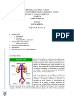  Funcion Renal