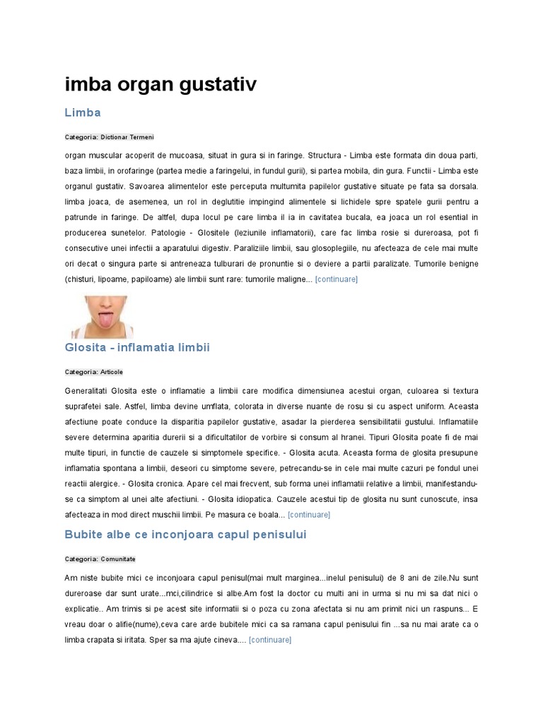 Imba Organ Gustativ Limba