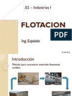 Problemas de Flotacion