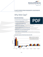 Why Mid-Cap? White Paper - Mar 2010