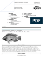 FAO Fisheries & Aquaculture - Programa de Información de Especies Acuáticas - Oreochromis Niloticus (Linnaeus, 1758)