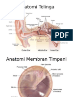 Anatomi Telinga 