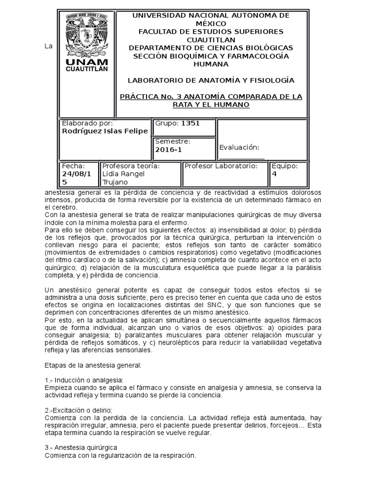 Previo 3. Anatomía Comparada de La Rata y Humano | PDF | Anestesia | Rata