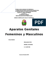 Informe i Aparato Genital Masculino