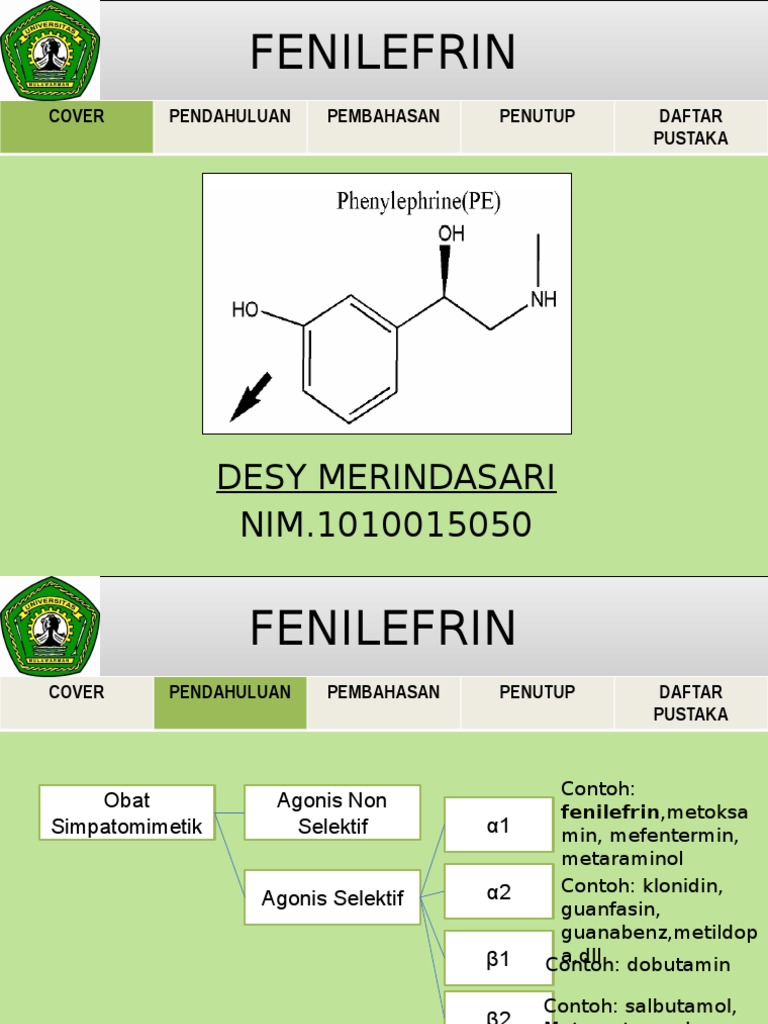 FENILEFRIN | PDF