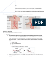 Fisiopatologia Arterial