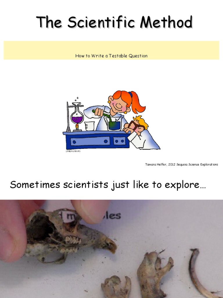 what are some testable experiments