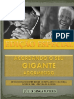 Acordando o Seu Gigante Adormecido - Júlio Ginga Mateus