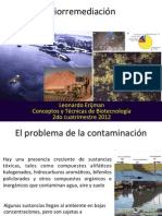 7. Bioremediacio_n.pdf