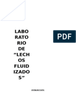 Informe Lab Lechos Fluidizados