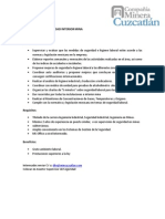 supervisorseguridad-interiormina.pdf
