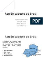 Região Sudeste Do Brasil