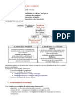 Operaţii Şi Procese Metalurgice