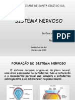  Sistema Nervoso 