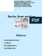 Bacilos Gram Positivos